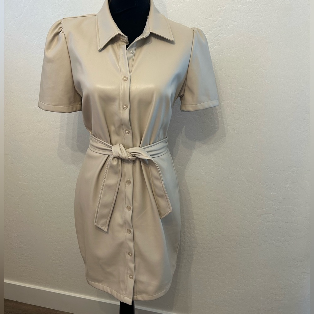 Bishop + Young leather dress.